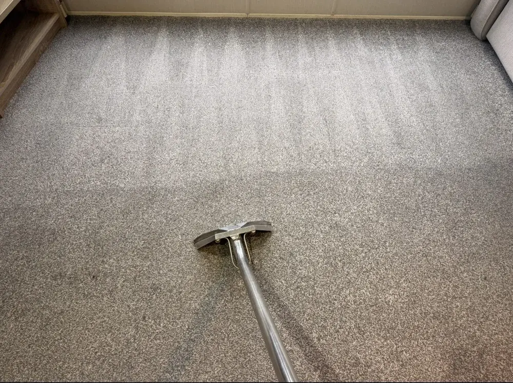 Professional carpet cleaning equipment in use